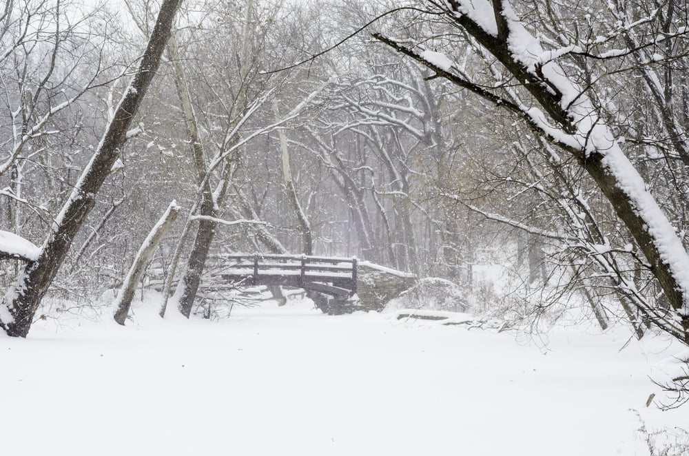 Wintry woods whiteout Footbridge over stream covered with snow during a winter storm in northern Illinois, USA Wintry woods whiteout Footbridge over stream covered with snow during a winter storm in northern Illinois, USA